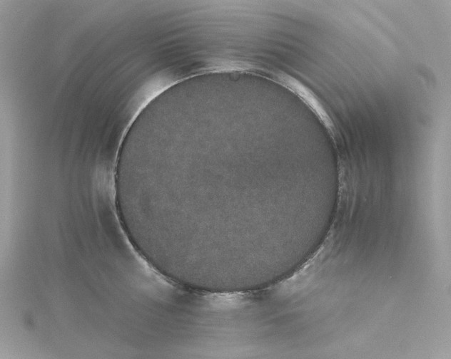 X0000115370810200911171413