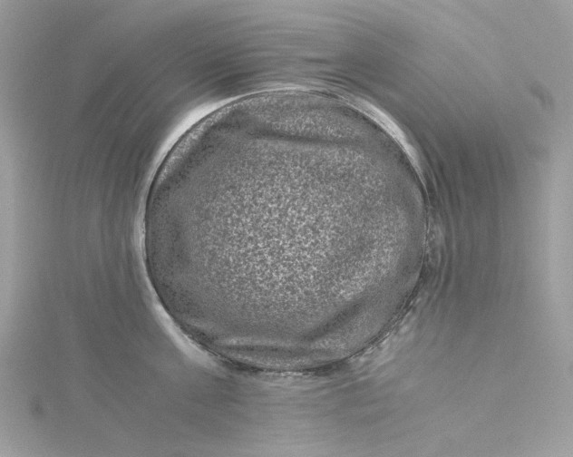 X0000115370811200911171413