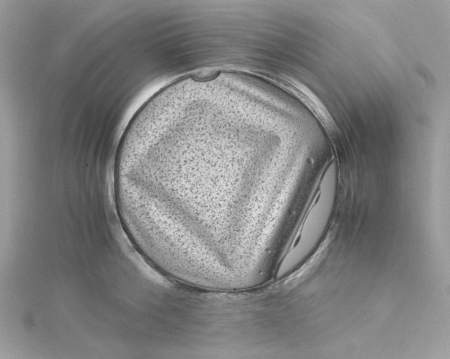 X0000115370812200911171413