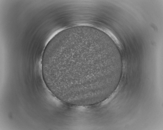 X0000115370814200911171413