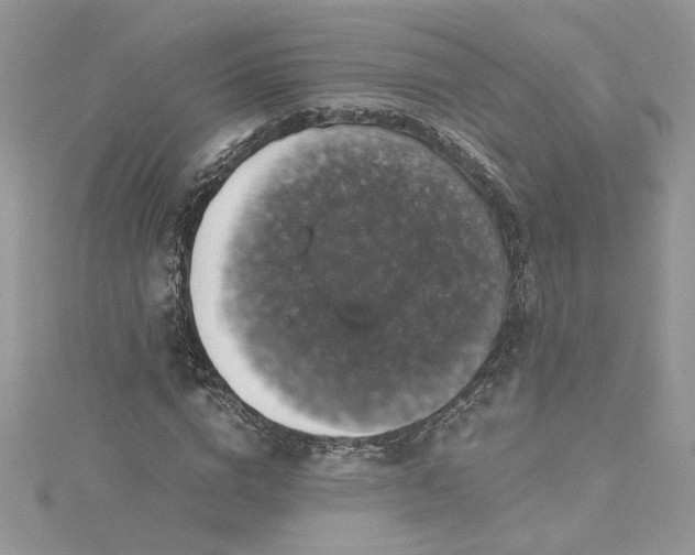 X0000115370824200911171412