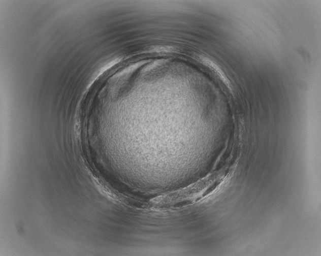X0000115370827200911171412