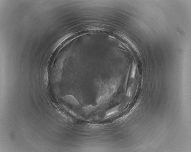 X0000115370829200911171412