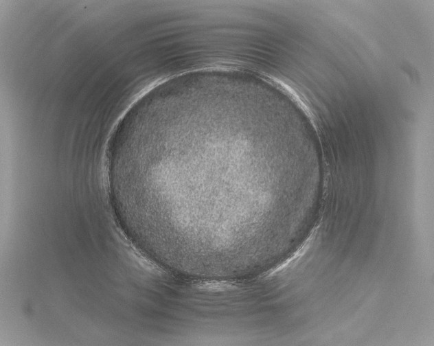 X0000115370835200911171412