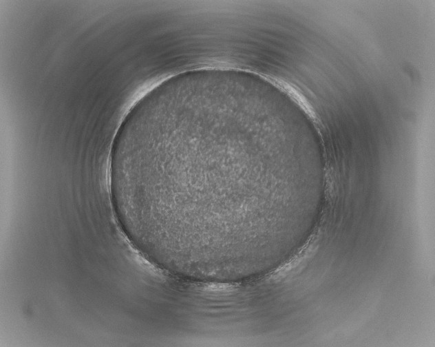 X0000115370839200911171412