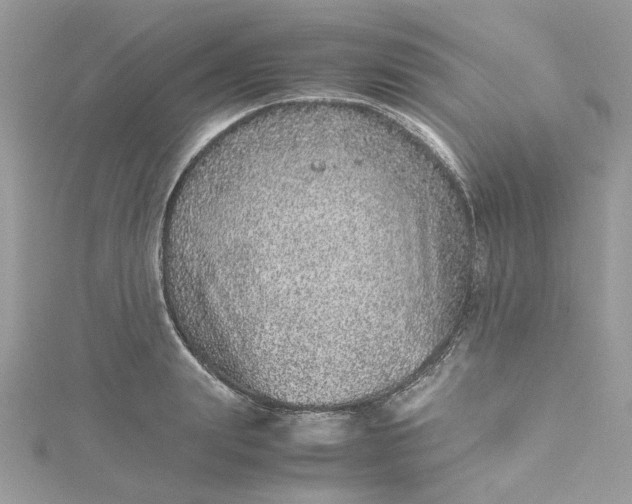 X0000115370847200911171413