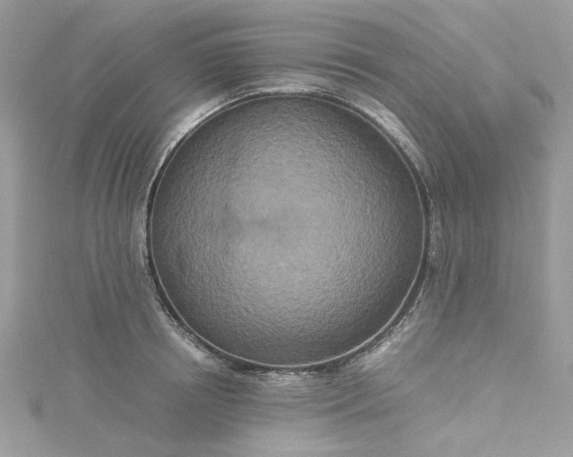 X0000115370850200911171413