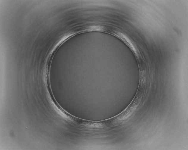 X0000115370851200911171413