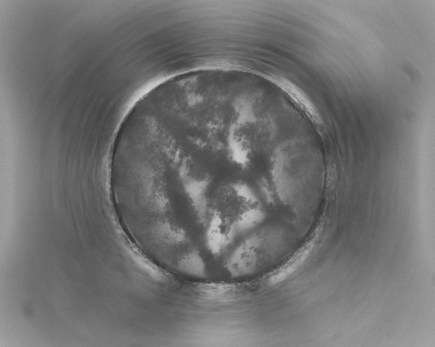 X0000115370854200911171413