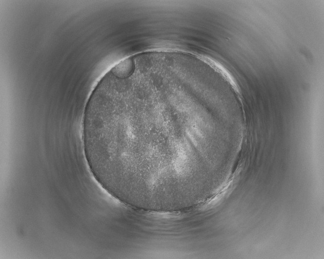 X0000115370855200911171413
