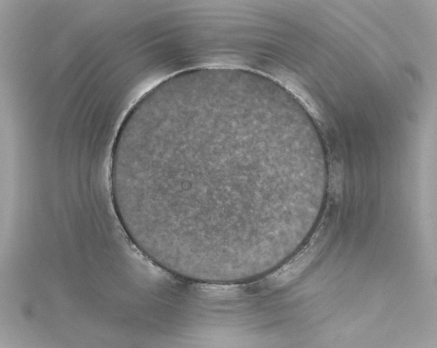 X0000115370856200911171413
