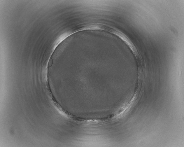 X0000115370858200911171413