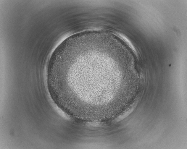 X0000115370859200911171413