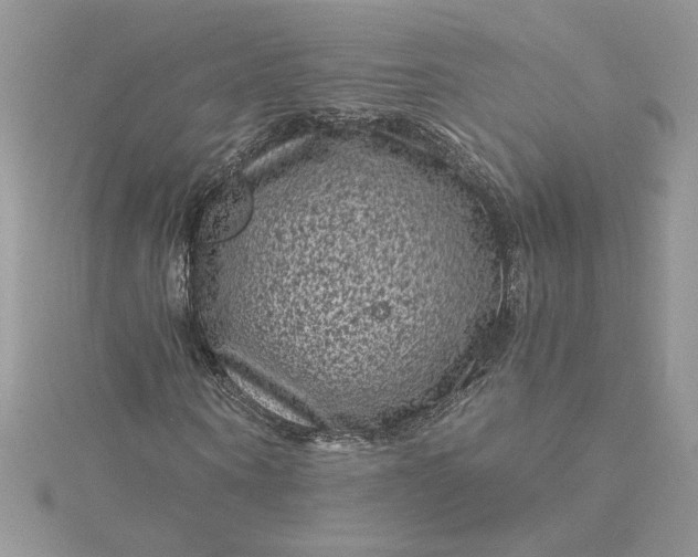 X0000115370866200911171412