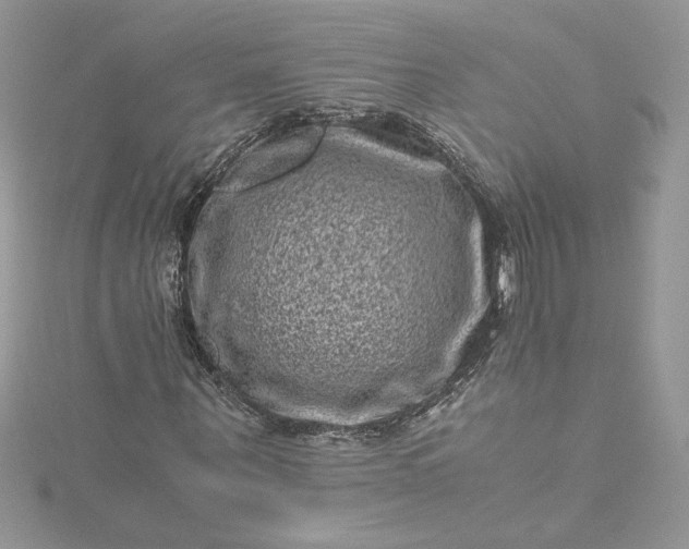 X0000115370867200911171412