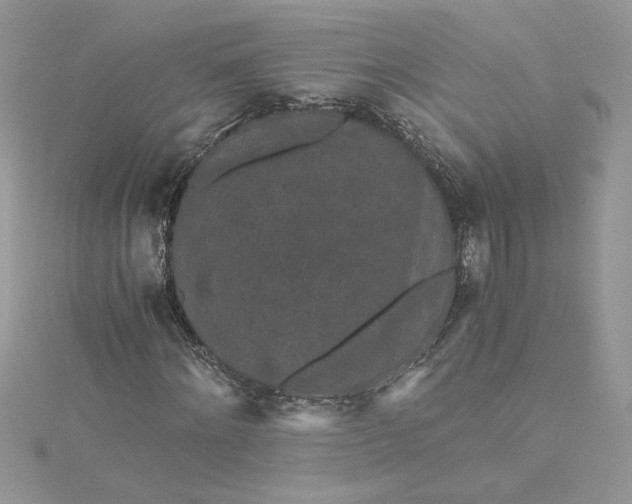 X0000115370868200911171412