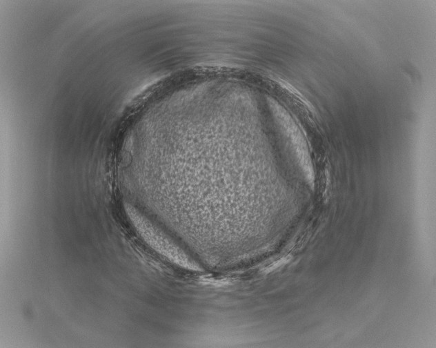 X0000115370870200911171412