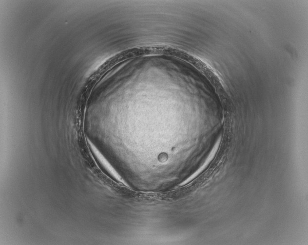 X0000115370871200911171412