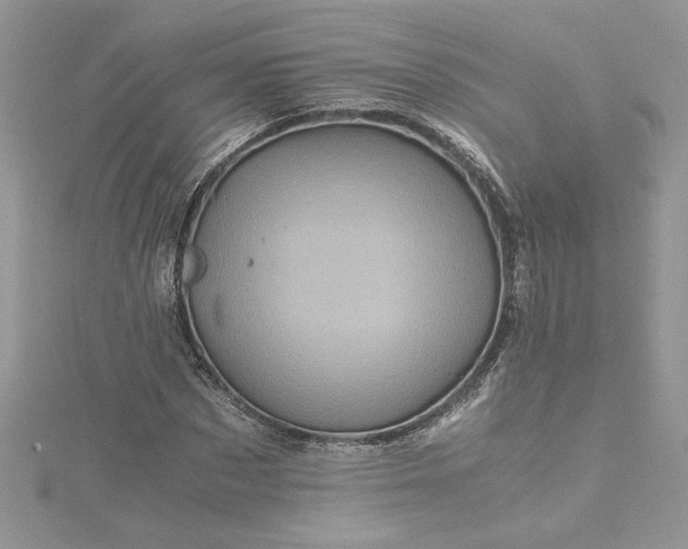 X0000115370873200911171412