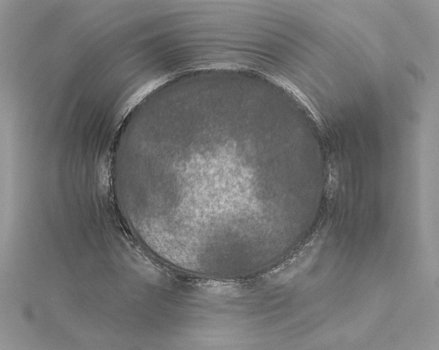 X0000115370874200911171412