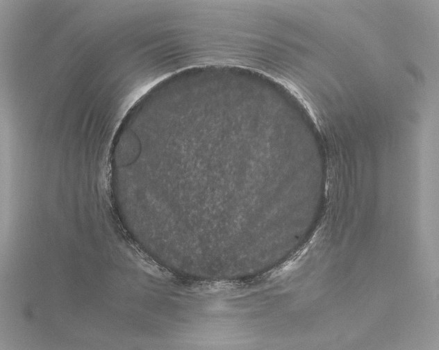 X0000115370879200911171412