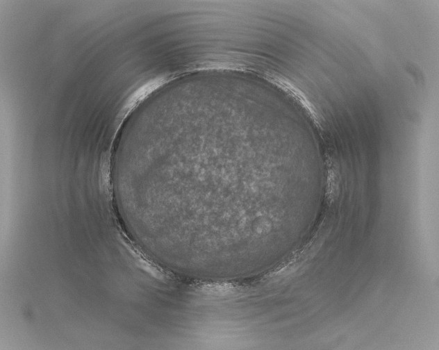 X0000115370882200911171412