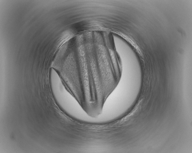 X0000115370889200911171412