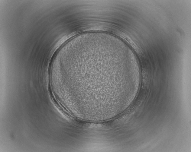 X0000115370890200911171412