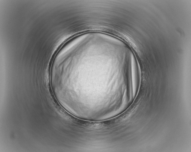 X0000115370891200911171412