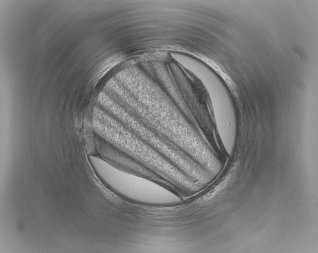 X0000115370897200911171412