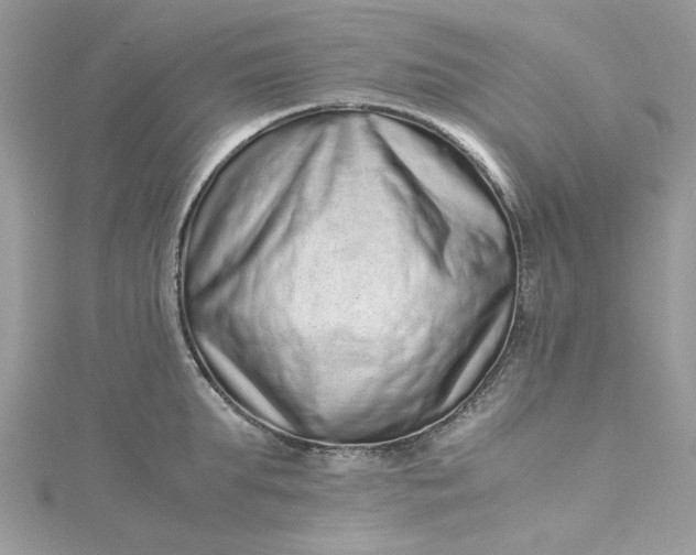 X0000115370903200911171412