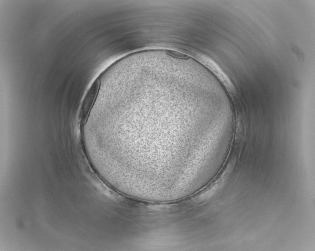X0000115370908200911171412