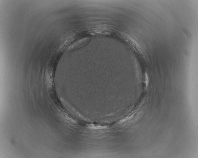 X0000115370915200911171411