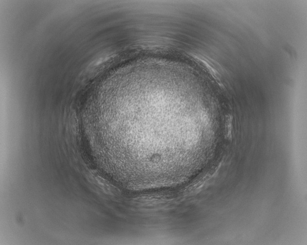 X0000115370917200911171411