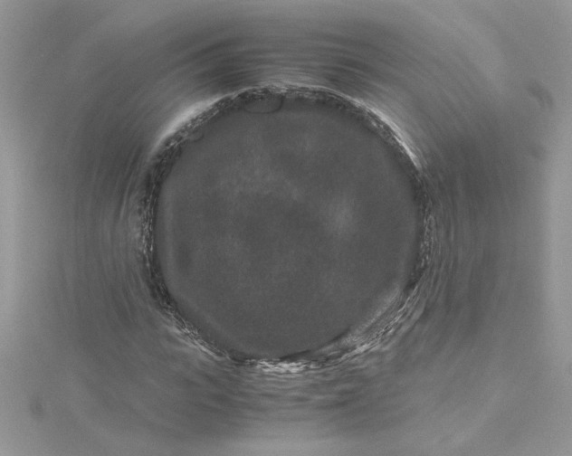 X0000115370919200911171411