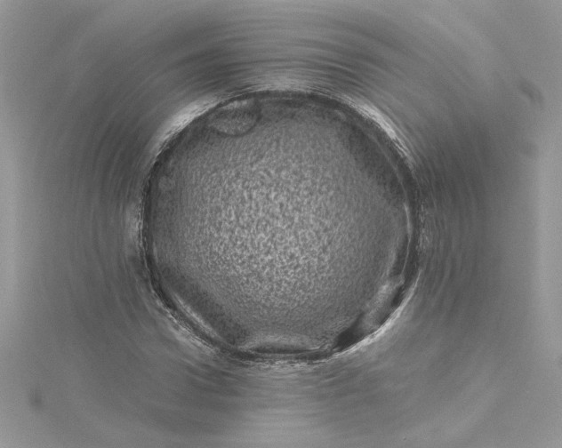 X0000115370922200911171411