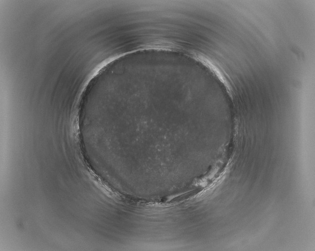 X0000115370923200911171411