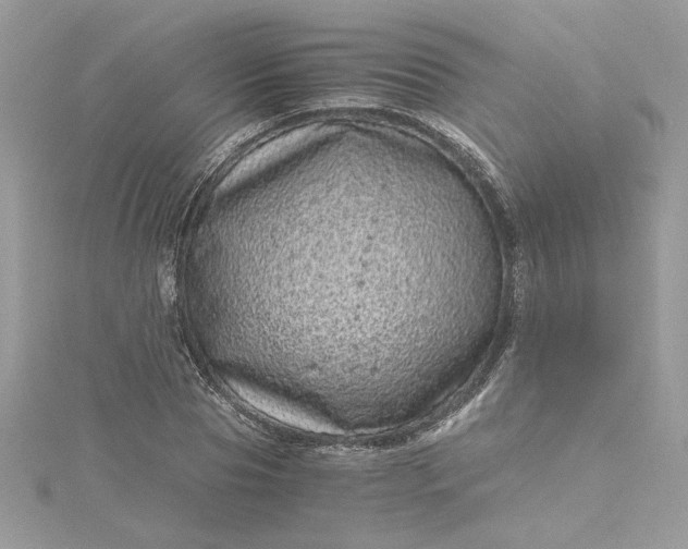 X0000115370929200911171411