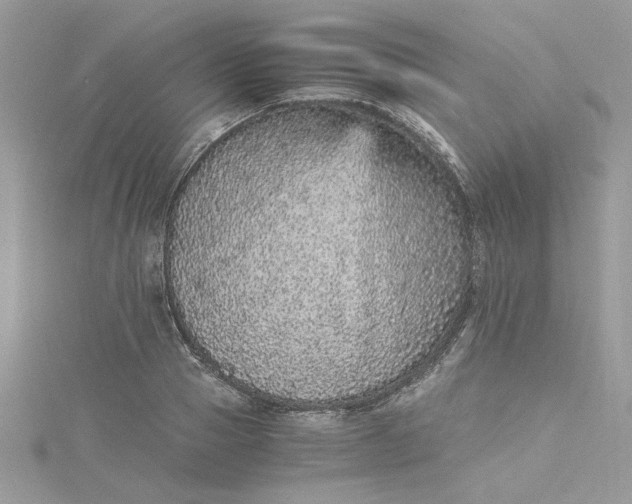 X0000115370937200911171411