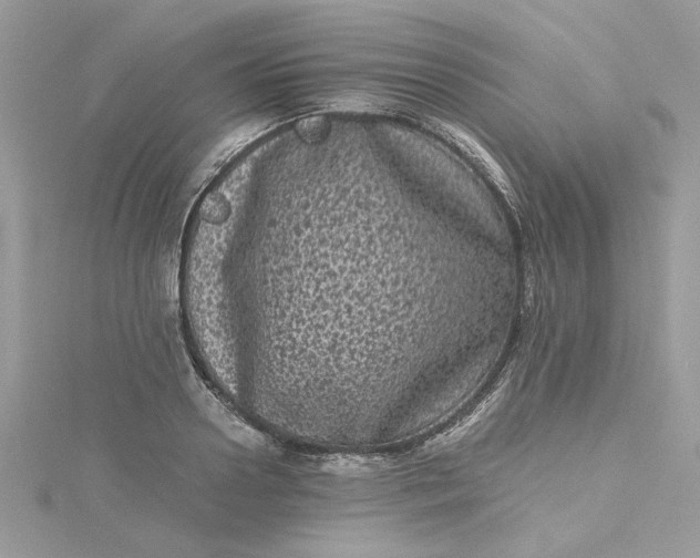 X0000115370938200911171411