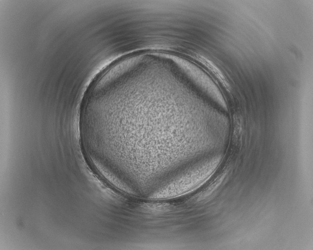 X0000115370939200911171411