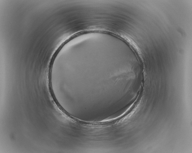 X0000115370941200911171411
