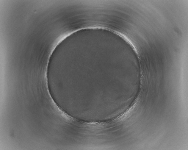 X0000115370943200911171411