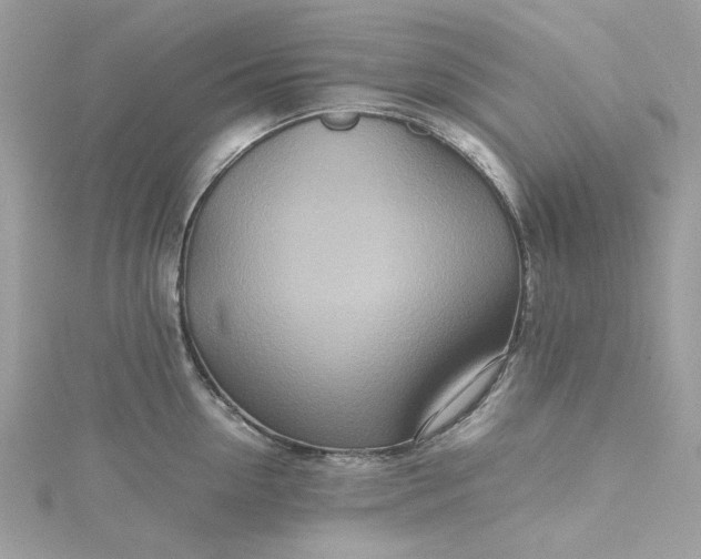 X0000115370954200911171411