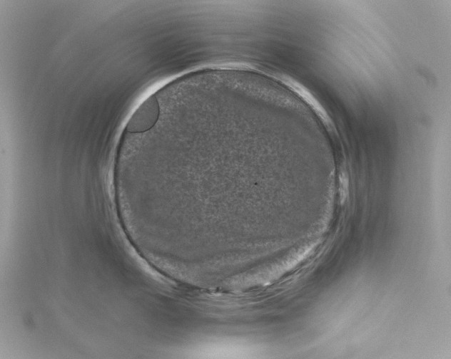 X0000115370959200911171411