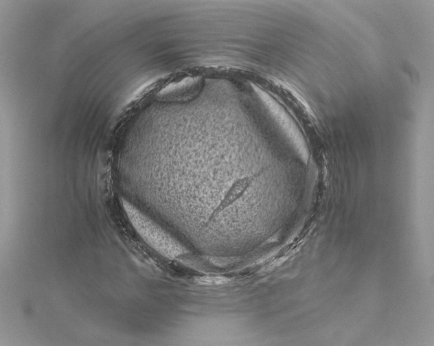 X0000115370968200911171411