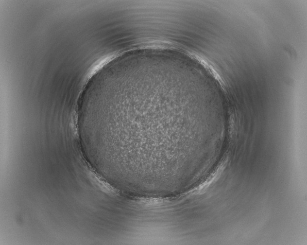 X0000115370970200911171411