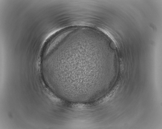 X0000115370971200911171411