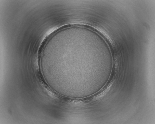 X0000115370974200911171411