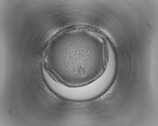 X0000115370977200911171411